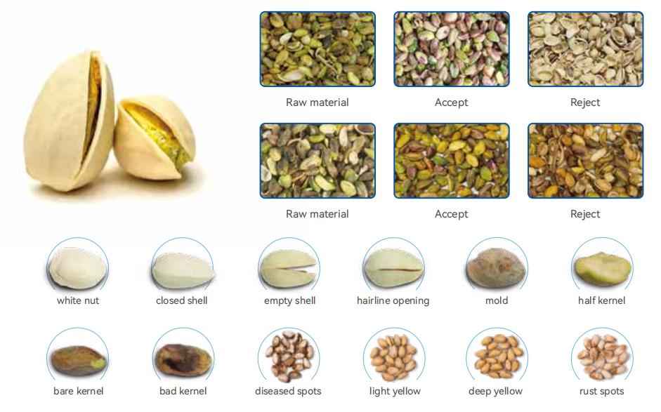 In-Shell Pistachio Sorting Machine.jpg